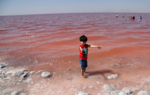 نیمی از آب مصرفی ضایعات کشاورزی، دریاچه ارومیه را احیا می کند