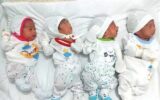 مادر جوان تبریزی چهارقلو به دنیا آورد