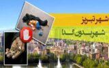 پشت پرده شهر بدون گدا؛ گفتگو با مسئول خدمات شهری تبریز