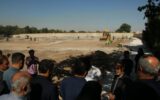 بهرهبرداری از پارک باغمیوه مسیر شهدای خدمت تا نیمه نخست امسال بهرهبرداری از پارک باغمیوه مسیر شهدای خدمت تا نیمه نخست امسال