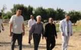 نقش حیاتی پارک بزرگ، برای تنفس تبریز
