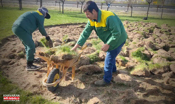 حذف تدریجی پوشش گیاهی چمن به منظور مدیریت بحران آب