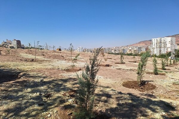 آغاز کاشت سایت ستاد بحران تبریز در راستای توسعه ۶۰۰ هکتاری فضای سبز آغاز کاشت سایت ستاد بحران تبریز در راستای توسعه ۶۰۰ هکتاری فضای سبز