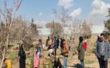 مراسم کاشت نهال ” باغبان کوچک” در پارک جنگلی ارم برگزار شد