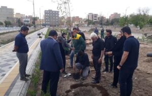 خیرات متفاوت شهروند تبریزی با کاشت ۱۰۰ اصله درخت در بوستان باغشمال تبریز