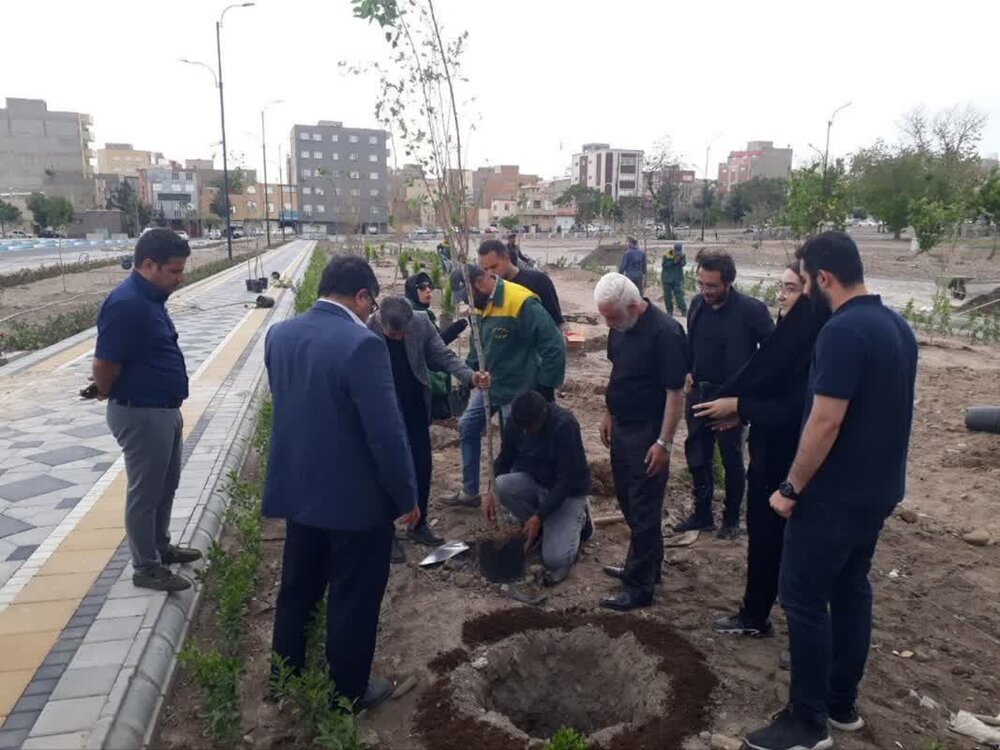 خیرات متفاوت شهروند تبریزی با کاشت ۱۰۰ اصله درخت در بوستان باغشمال تبریز