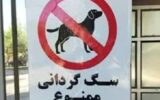 پلمب مهد سگ در تبریز پلمب مهد سگ در تبریز