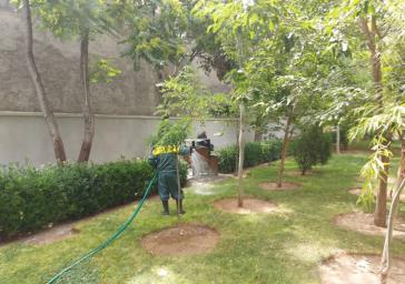 آبیاری فضای سبز شهرداری منطقه۶ در روزهای گرم سال آبیاری فضای سبز شهرداری منطقه۶ در روزهای گرم سال