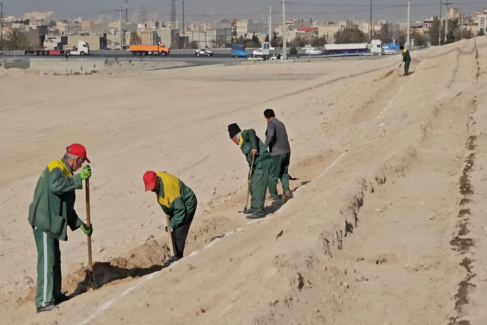 تداوم درختکاری ۸ هکتاری ضلع غربی ورودی یادگار امام (ره)