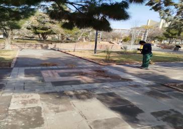 پاکسازی و ساماندهی معابر پارک مقبره‌الشعرا انجام شد