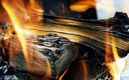 از خاکستر کتابهای ترکی تا چرخه نشر؛ مقایسه جایگاه زبان ترکی در دوره پهلوی و اکنون