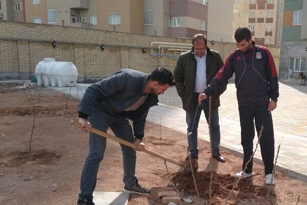 تداوم طرح کاشت نهال رایگان در منازل شهروندان منطقه ۵ تبریز