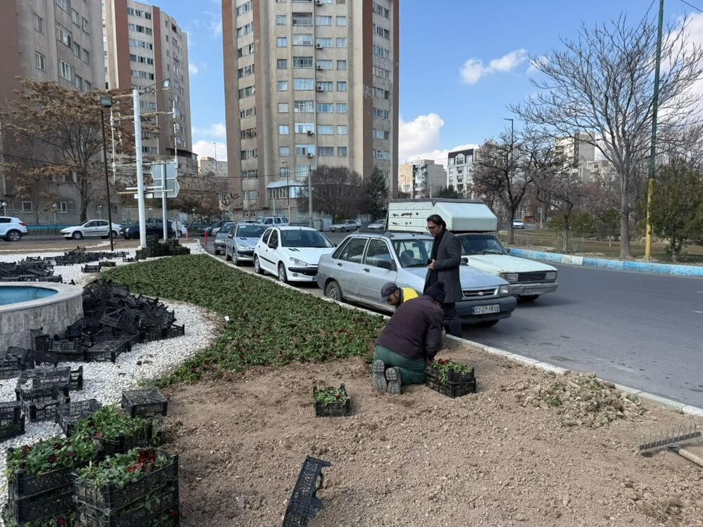 مناظر زیبای طبیعت بهاری با کاشت گل های بنفشه